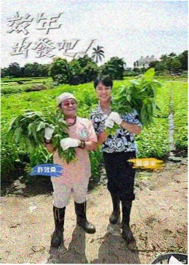 新视觉影视2020 - 向往的生活